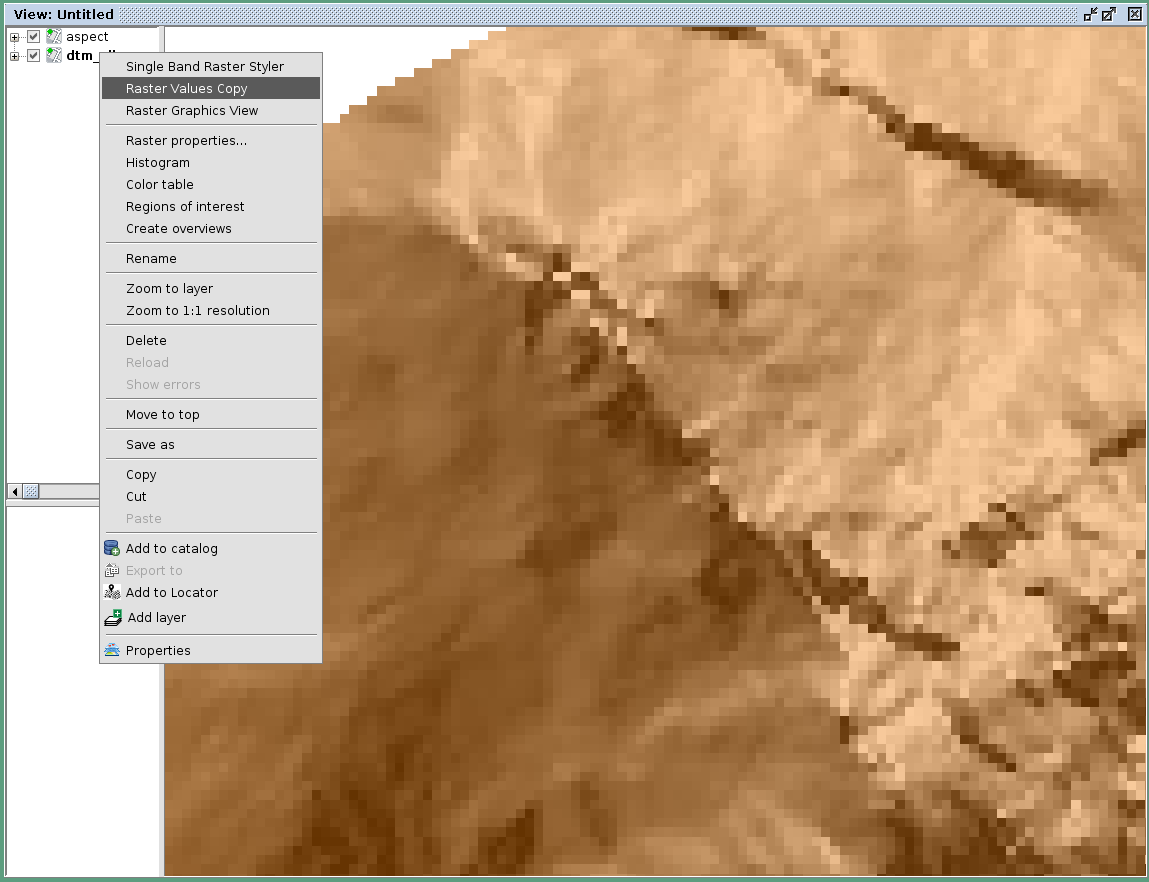 raster values copy 01